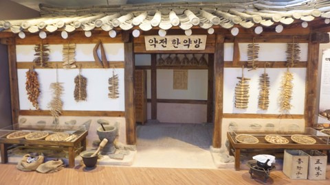 Menyaksikan Sejarah Pengobatan Tradisional Korea di Seoul K-Medi Center (6)