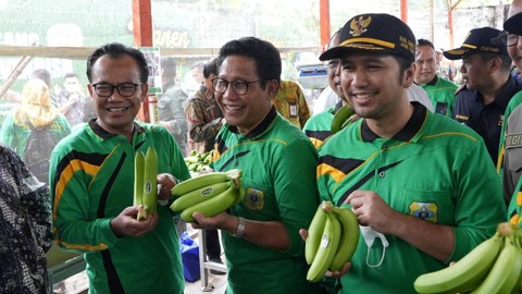 Pemerintah Kembangkan Komoditas Hortikultura Berorientasi Ekspor  (1)