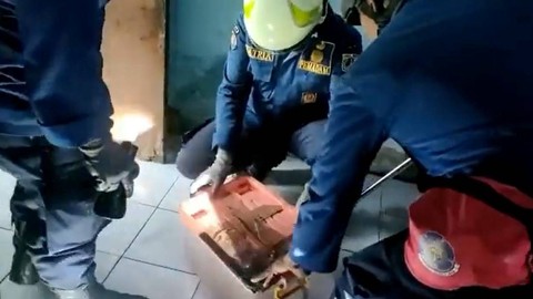 Petugas Damkar Evakuasi Seekor Ular dari Rumah Warga di Cakung (1)