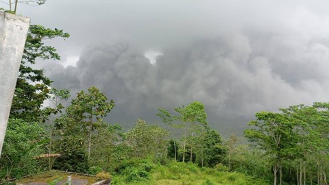 Guguran Awan Panas Gunung Semeru Mulai Mereda (1)