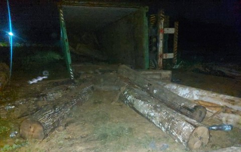 Tragis! 5 Pekerja di Kendari Tertindih Kayu Saat Bekerja, 1 Korban Tewas