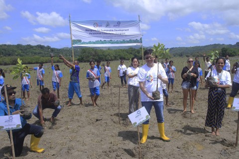 Foto: Aksi Menanam 3.000 Bibit Mangrove di Sumba