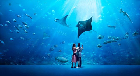 Rayakan Natal & Tahun Baru Tak Terlupakan di Resorts World Sentosa, Singapore (3)