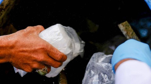 Foto: Polda Aceh Musnahkan 36 Kg Sabu-Sabu dan 411 Kg Ganja (6)