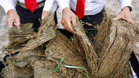 Foto: Polda Aceh Musnahkan 36 Kg Sabu-Sabu dan 411 Kg Ganja (7)