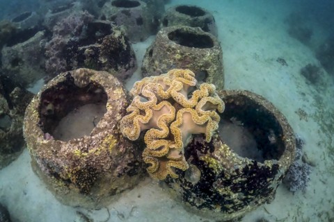 Esai Foto: Cadangan Gas Alam Raksasa dari Muara Badak (14)