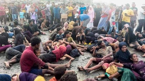 Polda Aceh Catat Pengungsi Rohingya Mendarat di Pidie Berjumlah 185 Orang