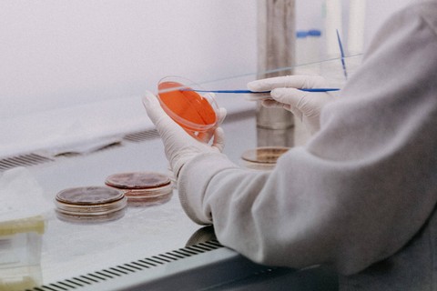 Fungsi Cawan Petri dan Cara Menggunakannya untuk Eksperimen di Laboratorium (1)