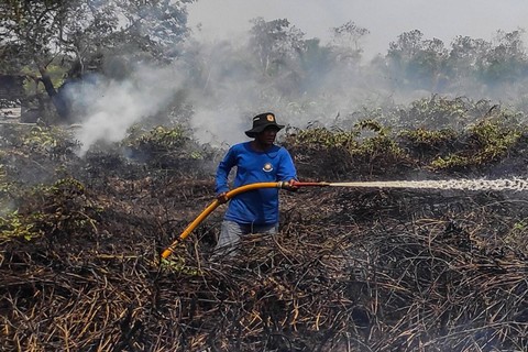 Foto: Kebakaran Melanda 27 Hektare Hutan dan Lahan di Kotawaringin Barat
