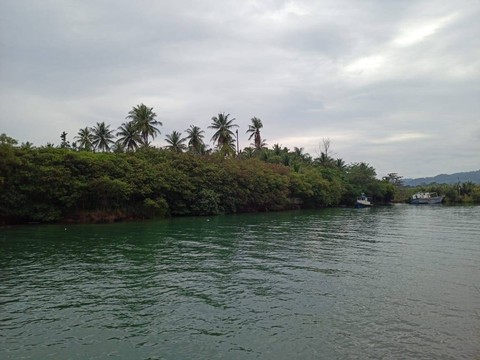Menikmati Libur Tahun Baru di Pantai Kelapa Kunjir, Pesawaran, Lampung (3)