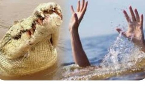 Remaja 16 Tahun di Sorong Diduga Diterkam Buaya Saat Berenang di Kali Klamono