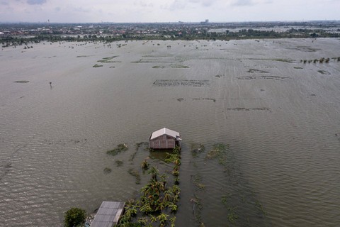 Foto udara sebuah rumah di sekitar areal persawahan yang terendam banjir Di Desa Prampelan, Kecamatan Sayung, Kabupaten Demak, Jawa Tengah, Selasa (3/1/2023). Foto: Aji Styawan/ANTARA FOTO
