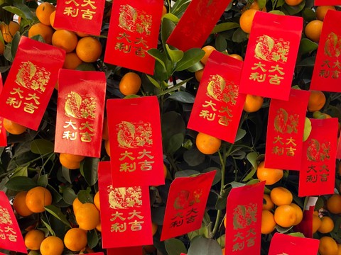 Ilustrasi Kalender China Juli 2023 (Foto: Yuwei Shaw | Unsplash.com)