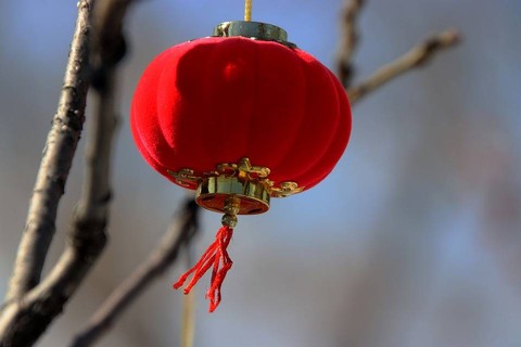 https://pixabay.com/id/users/lancier-16507166/