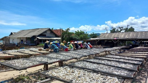 Ibu-ibu pekerja harian saat memilih teri di salah satu pengelolaan ikan asin di Pulau Pasaran. | Foto: Sinta Yuliana/Lampung Geh
