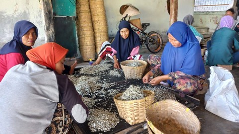 Ibu-ibu pekerja harian saat memilih teri di salah satu pengelolaan ikan asin di Pulau Pasaran. | Foto: Sinta Yuliana/Lampung Geh