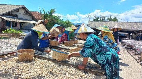 Ibu-ibu pekerja harian saat memilih teri di salah satu pengelolaan ikan asin di Pulau Pasaran. | Foto: Sinta Yuliana/Lampung Geh