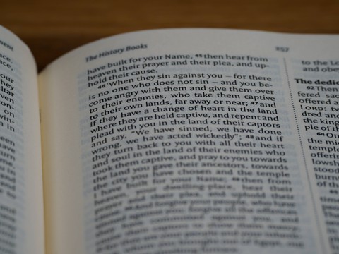 Ilustrasi Jawaban TTS untuk Istilah Mampu Memakai Dua Bahasa dengan Baik. Foto: dok. Brett Jordan (Unsplash.com)