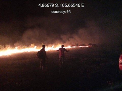 Kawasan Taman Nasional Way Kambas seluas 150 hektare terbakar pada Sabtu (14/1) kemarin. | Foto : dok Balai TNWK