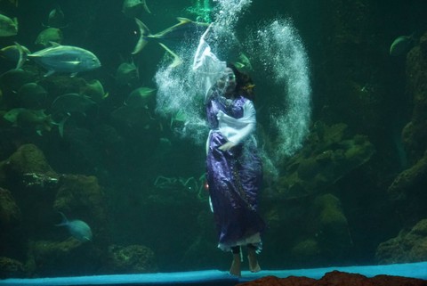 Sejumlah penampil menunjukkan atraksi barongsai di dalam akuarium Sea World Ancol, Pademangan, Jakarta Utara, Rabu (18/1). Foto: Iqbal Firdaus/kumparan