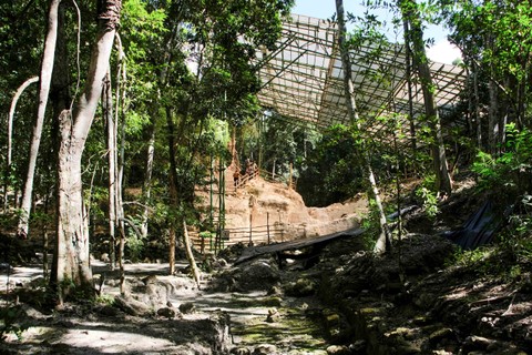 Sebuah struktur melindungi dekorasi Popol Vuh di situs arkeologi El Mirador yang tersembunyi oleh hutan lebat Guatemala utara dan Meksiko selatan di Peten, Guatemala, Selasa (17/1/2023). Foto: Josue Decavele/REUTERS