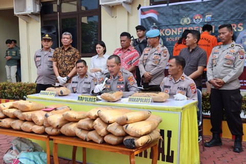 Kapolres Madina saat memaparkan kasus penyeludupan 47 Kg ganja. Foto: Dok. Polres Madina