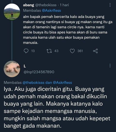 Tangkap layar cerita buaya pemakan manusia. Foto: Tangkap layar Twitter