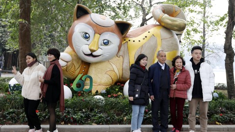 Dekorasi kucing telah dipasang di sekitar Hanoi untuk menyambut Tahun Kucing