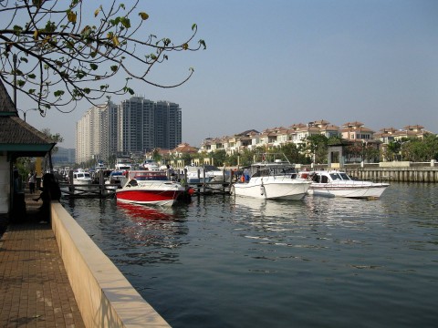Ancol. Sumber: Pixabay.com