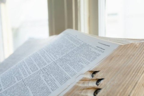Sinonim poli. Sumber:  unsplash.com