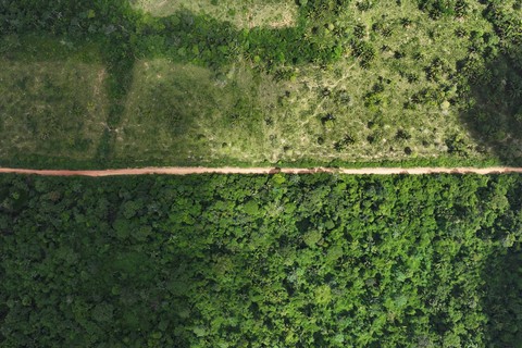 Pemandangan udara area gundul saat operasi memerangi deforestasi di dekat Uruara, Negara Bagian Para, Brasil, Sabtu (21/1/2023). Foto: Ueslei Marcelino/Reuters
