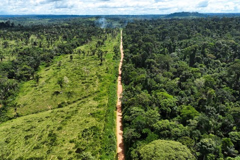 Pemandangan udara area gundul saat operasi memerangi deforestasi di dekat Uruara, Negara Bagian Para, Brasil, Sabtu (21/1/2023). Foto: Ueslei Marcelino/Reuters