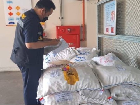 785 kilogram lato-lato Sumbar diekspor ke Malaysia. Dok. KPPBC Teluk Bayur.