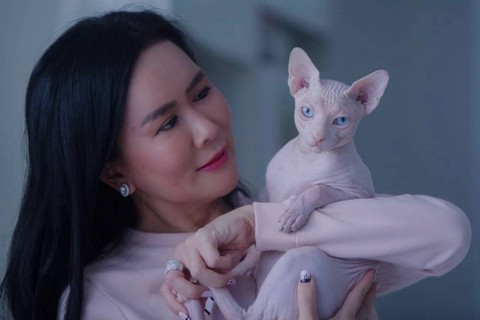 Serba-serbi Merawat Kucing Sphynix, Si Anggun yang Manja dan Senang Berteman