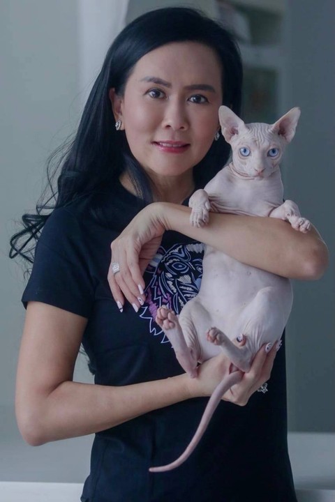 Serba-serbi Merawat Kucing Sphynix, Si Anggun yang Manja dan Senang Berteman (1)