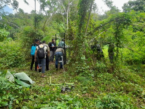 Petugas membawa seekor harimau sumatera (Panthera Tigris Sumatrae) yang menerkam tiga orang petani di Aceh Selatan. Foto: Dok. Istimewa