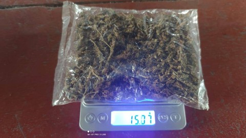 Barang bukti ganja yang diamankan