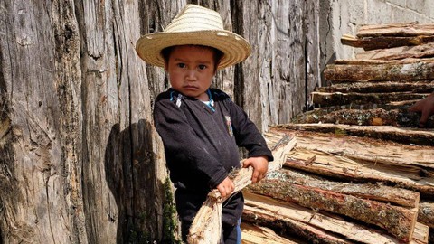 Seorang anak laki-laki di Chiapas, Meksiko, menumpuk kayu bakar – yang bagi beberapa keluarga merupakan milestone penting. 