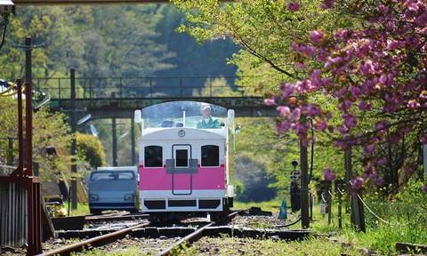 Kereta api unik di Jepang yang pakai bahan bakar kaldu ramen. Foto: ANA