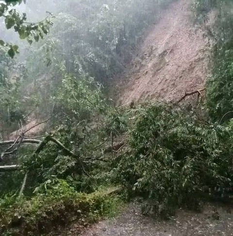 Keterangan foto : Longsor yang terjadi di Jalur Cibal Barat menuju Kota Ruteng.  Foto:Engkos Pahing.