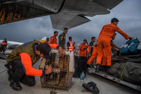 Petugas mempersiapkan bantuan logistik untuk korban gempa bumi Turki ke dalam pesawat Hercules C-130 TNI AU di Lanud Halim Perdanakusuma, Jakarta, Sabtu (11/2/2023). Foto: Galih Pradipta/ANTARA FOTO