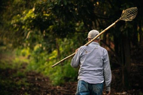Ilustrasi Tokoh yang Mengusulkan Dilaksanakannya Sistem Tanam Paksa. Foto: dok. Uriel Soberanes (Unsplash.com)