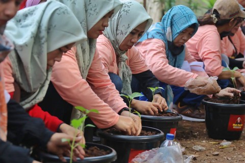 Relawan Mak Ganjar menanam ratusan bibit cabai di Pasar Minggu, Jakarta Selatan pada Sabtu (18/2/2023). Foto: Dok. Istimewa