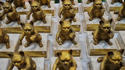 Sejumlah piala yang disiapkan panitia untuk para peserta yang berhasil memenangkan berbagai ajang keterampilan dalam International Cat Show 2023 yang berlangsung di atrium mal opi Palembang, Minggu (19/2) Foto: abp/Urban Id