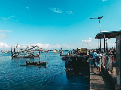 Ilustrasi ikan tapi dari pohon. Sumber: www.unsplash.com.