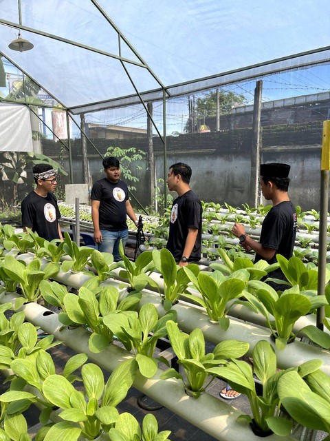 Sukarelawan Ganjar Milenial Center (GMC) melaksanakan aksi bersih lingkungan dan berbagi sayur hidroponik di Desa Ngerong, Kecamatan Gempol, Kabupaten Pasuruan, Jawa Timur, Sabtu (25/2/2023). Foto: Dok. Istimewa