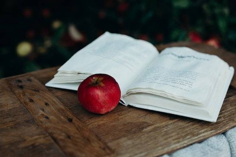 Ilustrasi Kunci Jawaban Tema 6 Kelas 3 Halaman 189, Foto Unsplash Liana Mikah
