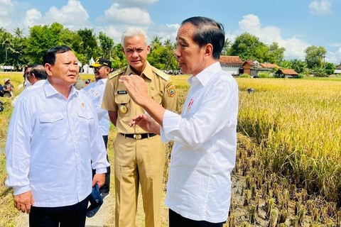Presiden Jokowi didampingi Menhan Prabowo Subianto dan Gubernur Jateng Ganjar Pranowo saat meninjau panen raya padi di Desa Lajer, Kecamatan Ambal, Kabupaten Kebumen, Jawa Tengah, Kamis (9/3/2023). Foto: Laily Rachev/Biro Pers Sekretariat Presiden