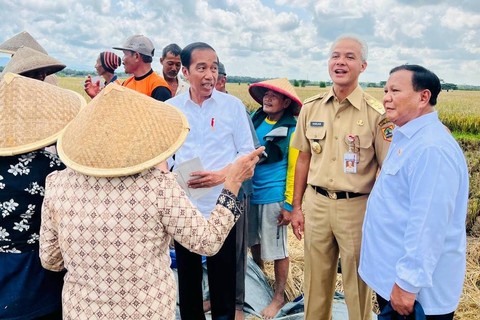 Presiden Jokowi didampingi Menhan Prabowo Subianto dan Gubernur Jateng Ganjar Pranowo saat meninjau panen raya padi di Desa Lajer, Kecamatan Ambal, Kabupaten Kebumen, Jawa Tengah, Kamis (9/3/2023). Foto: Laily Rachev/Biro Pers Sekretariat Presiden