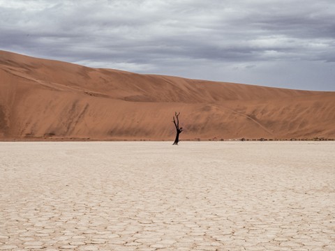 Ilustrasi akibat dari musim kemarau yang panjang. Sumber: www.unsplash.com.